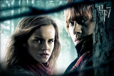 Hermione et Ron sont-ils en couple dans le film n4 ( Harry Potter et la Coupe de feu ) ?