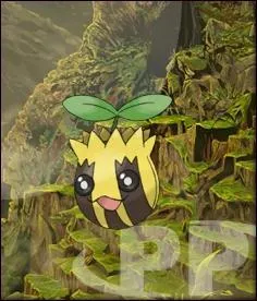 Quelle est l'volution de ce Pokmon ?