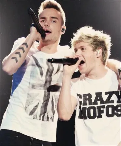 Pourquoi Liam a-t-il boud Niall une fois ?