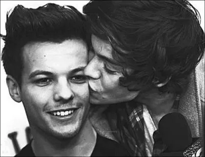 Comment appelle-t-on les filles qui croient  l'amour entre Harry et Louis ?