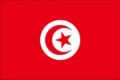 A quel pays correspond ce drapeau ?