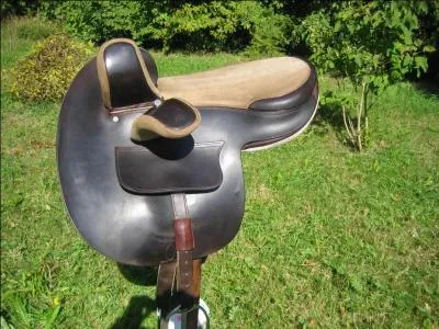 Quel est le nom de cette selle ?