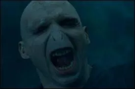 Pourquoi Harry n'est-il pas mort lorsque Lord Voldemort lance un  avada kedavra  ?