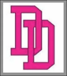 Que veut dire  Dirty Diary  ?