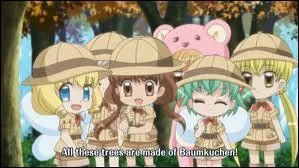 Que fait Ichigo lors de son dernier sjour au royaume de la ptisserie ?