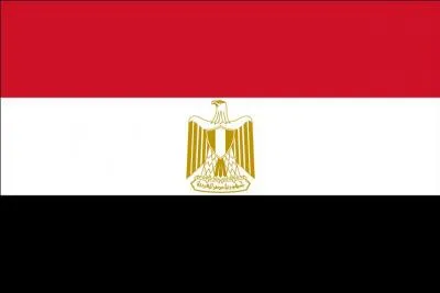 A quel pays correspond ce drapeau ?