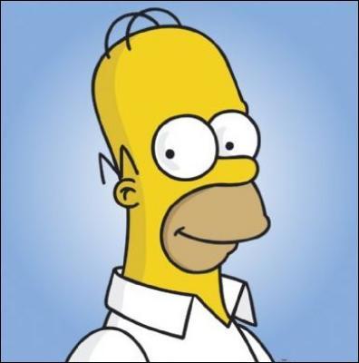 En ralit, Homer a les cheveux :