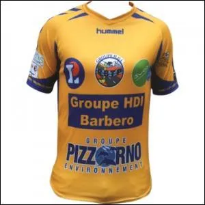  quelle quipe appartient ce maillot ?