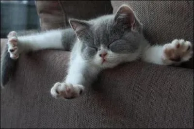 Il fait trop chaud pour travailler !