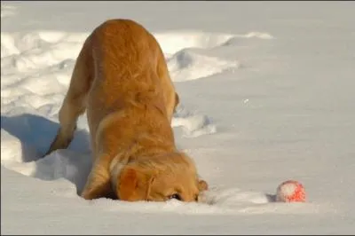 Au Nord, c'taient les corons, la terre, c'tait le charbon !