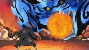 Combien de queues Matatabi a-t-il ?