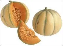Le melon est un  faux-fruit , c'est une plante dont le fruit est comestible, il appartient  la famille des cucurbitaces comme la courge, le portiron, etc... Mais ce nom peut aussi tre...