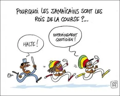 Le sport permet de rendre les poumons plus sains.