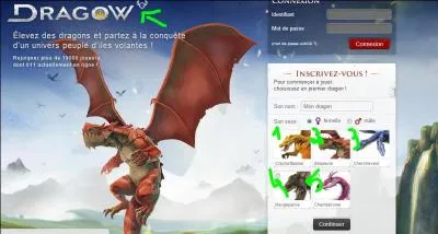 Combien y a-t-il de races de dragons ?