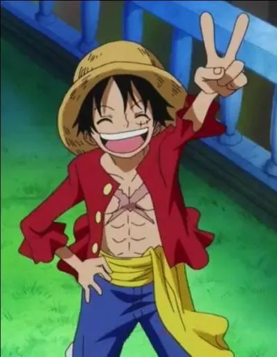 Qui a inflig sa blessure sur le torse  Luffy ?