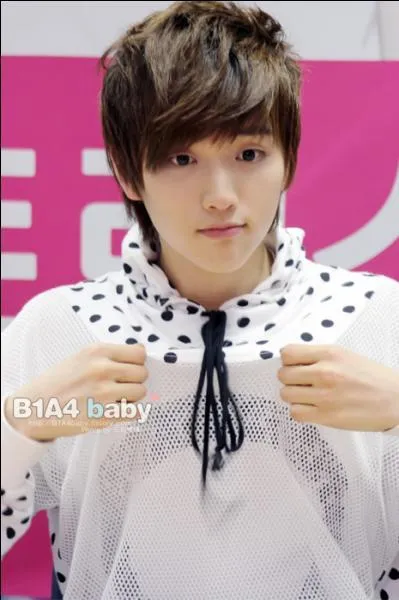 Qui est le leader vocal ?