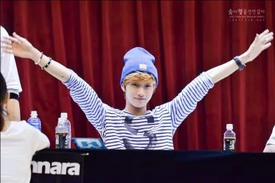 Qui est le leader du groupe ?