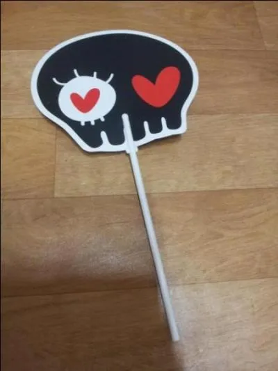 Comment se nomment leurs fans ?