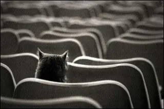 Ce chat est le seul  avoir vu ce film ! Si vous avez bien assembl vos rponses, vous devriez trouver ce film franais de Jean Girault sorti :