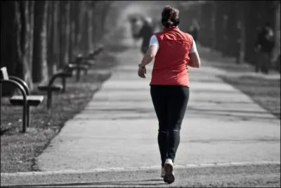 Quel est l'animal le plus endurant du monde ?