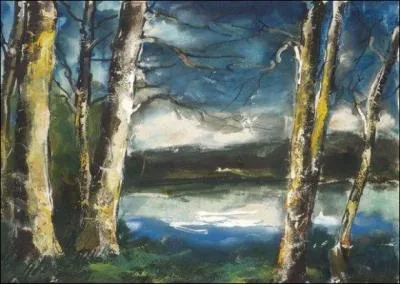 Qui a peint Etang de Tardais ?