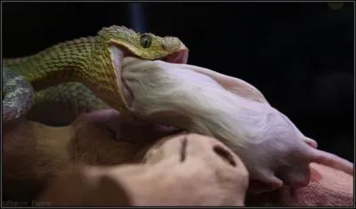 Mesdames et messieurs, nous traversons actuellement une zone de turbulences, alors veuillez vous asseoir, vous tes pris d'attacher vos ceintures et de trouver le titre de ce film !