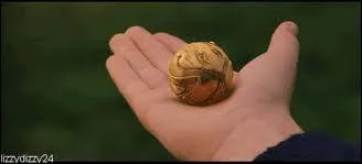 Harry dcouvre un incroyable talent dans un un sport, comment se nomme-t-il ?