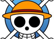 Quiz One Piece : les sept capitaines corsaires (0)