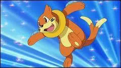 Comment s'appelle ce pokmon ?