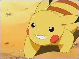 Comment s'appelle ce pokmon ?