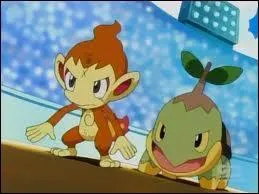 Quels sont ces deux pokmon ?