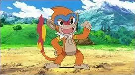 Quelle est sa 2me volution ?