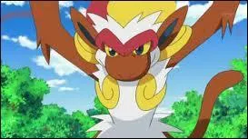 Quelle est sa 3me volution ?