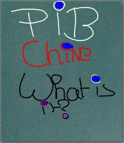 Les principales caractristiques de ce pays mergent sont : la croissance conomique (extrmement rapide), son niveau de vie et son PIB. Que veut dire PIB ?