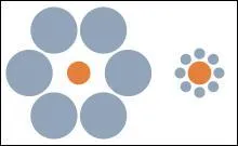 Un cur gros comme a, contrairement  ce cur de fleur ! Les deux curs sont de mme diamtre :