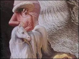 Par ma barbe, si vous trouvez la rponse, c'est que vous tes dous ! Que voyez-vous sur l'image ?