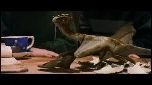 Quel frre de Ron va s'occuper de Norbert, le dragon de Hagrid ?