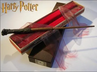 De quoi est compose la baguette de Harry Potter ?