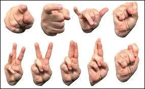 Il est sourd-muet. Quelle affirmation est fausse ?