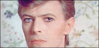 David Bowie a les yeux vairons.