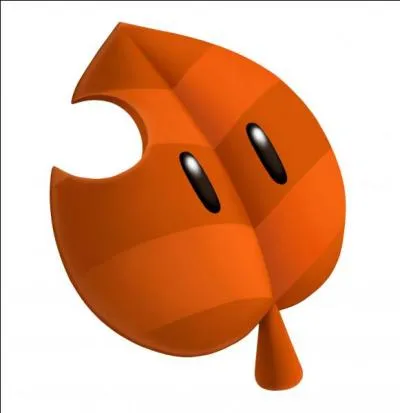 Quel est cet objet ?