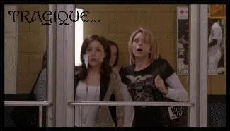 Qui le tireur a-t-il bless sans le vouloir ?