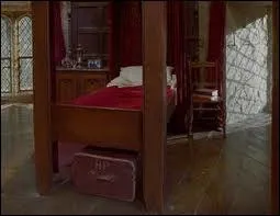 Quel lve ne partage pas la chambre de Harry et de Ron dans le dortoir des Gryffondor ?