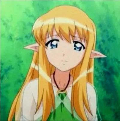 Quel est le nom de la demi-elfe qui sauve Saito ?