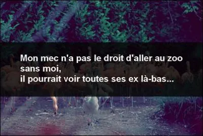 Qui a essay de tuer Adam ?