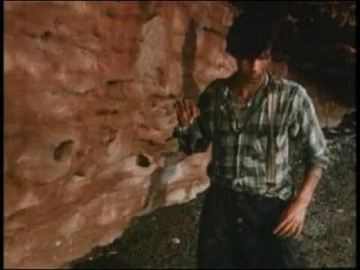 Le film : "Les fous de Bassan" est adapté d'un roman célèbre de ... Yves Simoneau l'a réalisé. La prestation du fou Perceval par ... est magistrale, quelles sont les deux réponses en pointillés ?