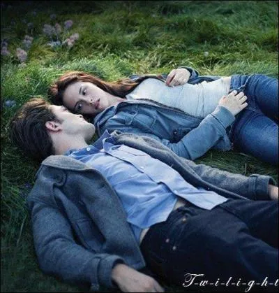 Quand Edward montre  Bella comment il est au soleil, que dit-elle ?