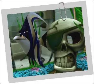 C'est le leader de l'aquarium chez le dentiste, qui est-ce ?