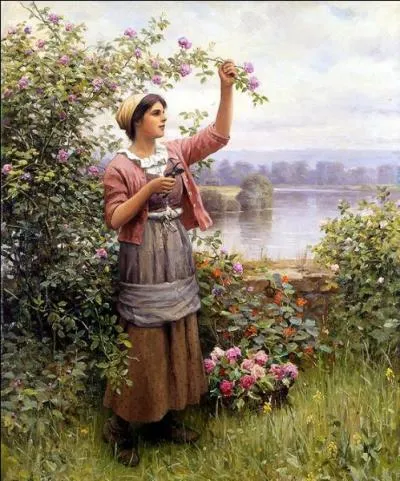 La cueillette des roses.