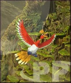 Quel est ce Pokmon ?